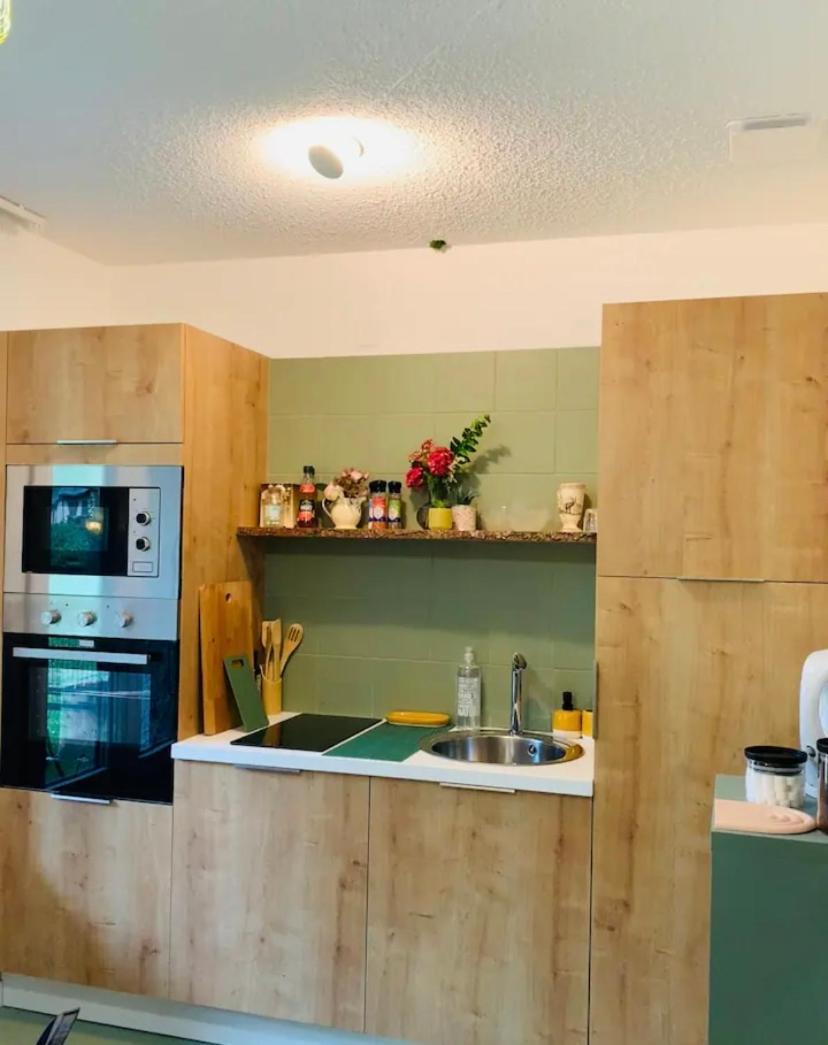 La Suite Unique - Le Jardin Sur Les Pyrenees- Vue Panoramique Montagne -Jardin Cloture Prive De 100M2-Parking-Linge De Lit Et Serviettes Compris- Bielle Luaran gambar