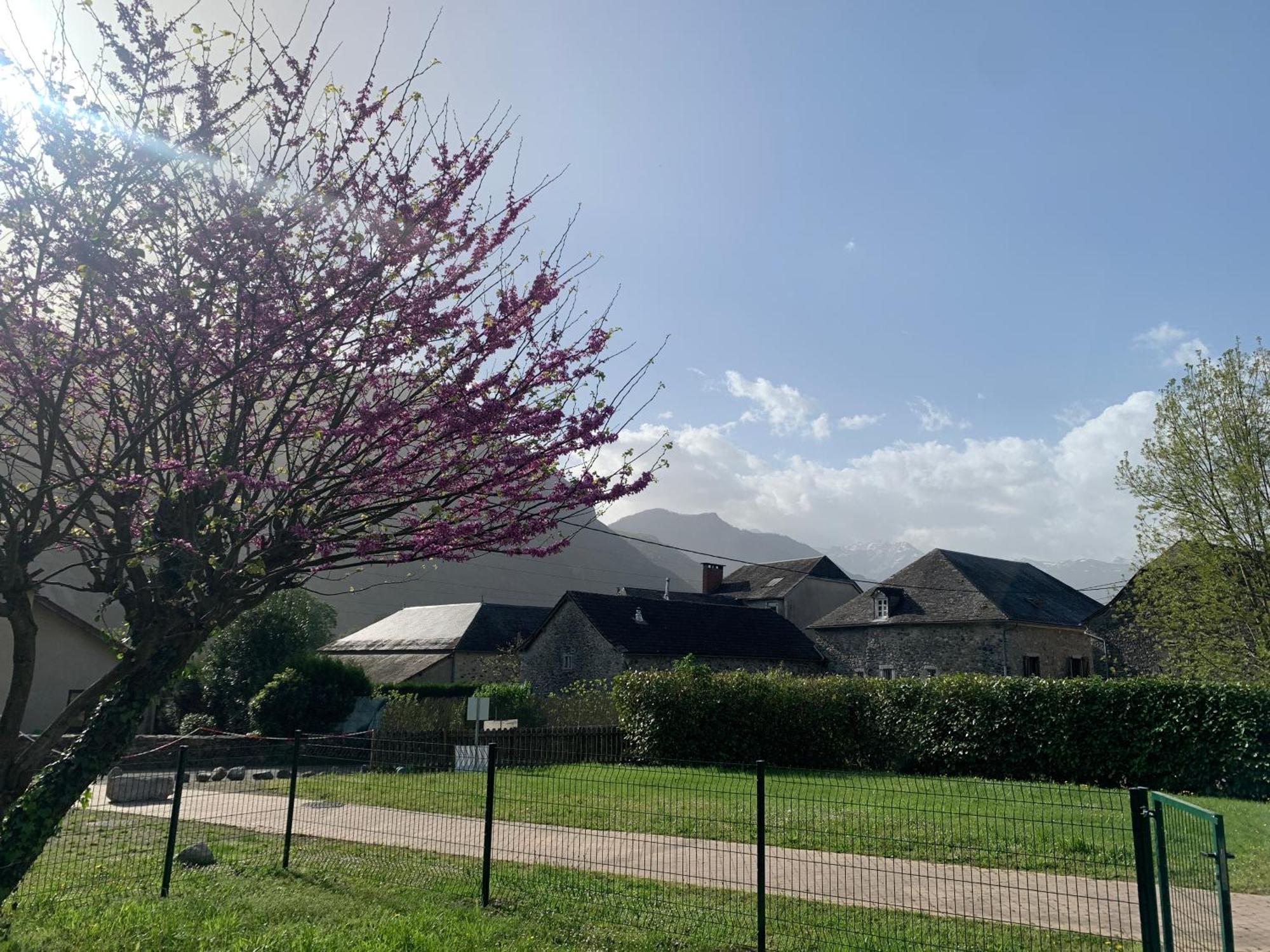 La Suite Unique - Le Jardin Sur Les Pyrenees- Vue Panoramique Montagne -Jardin Cloture Prive De 100M2-Parking-Linge De Lit Et Serviettes Compris- Bielle Luaran gambar