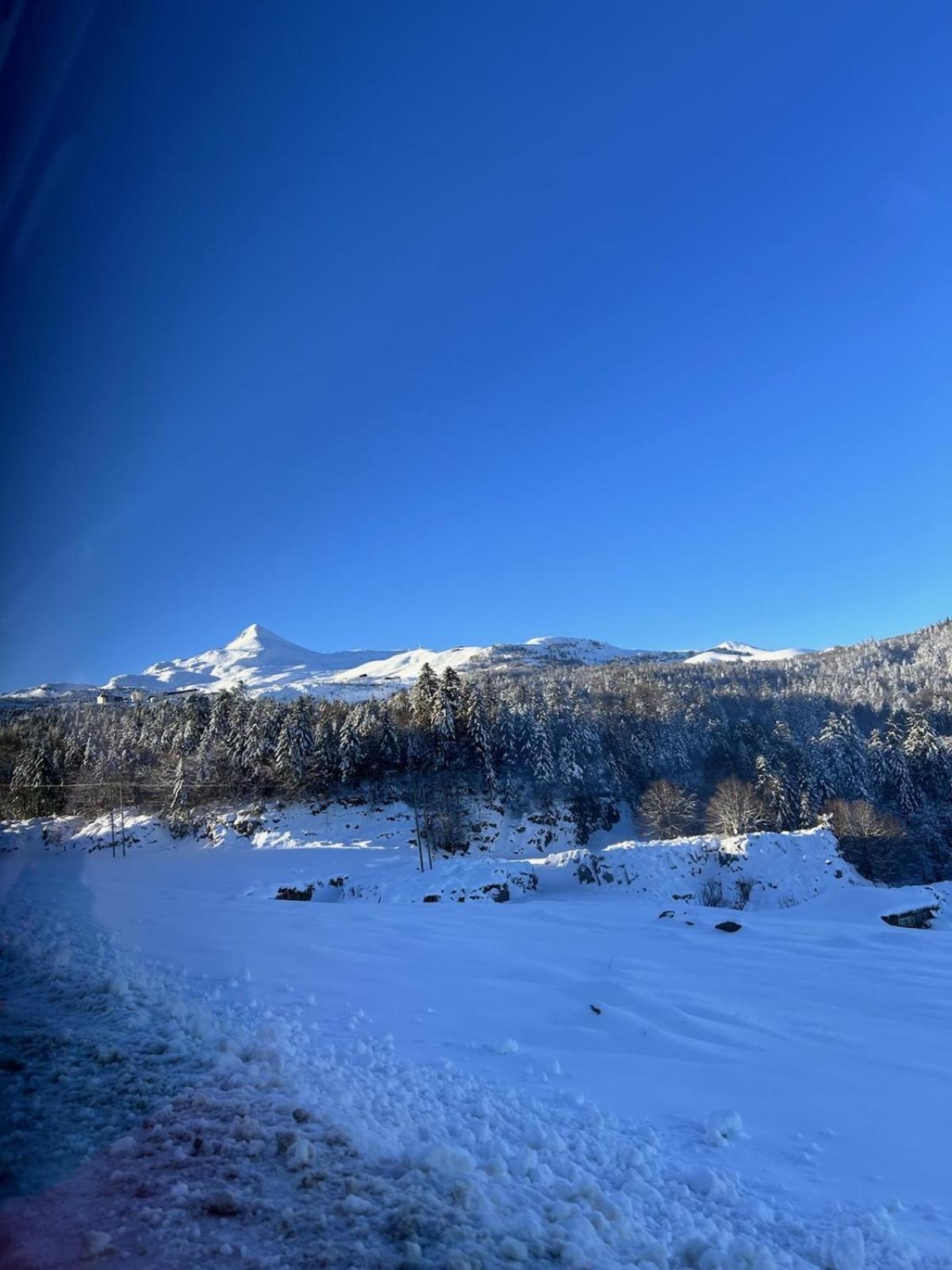 La Suite Unique - Le Jardin Sur Les Pyrenees- Vue Panoramique Montagne -Jardin Cloture Prive De 100M2-Parking-Linge De Lit Et Serviettes Compris- Bielle Luaran gambar